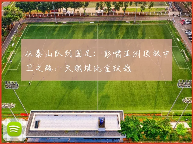 从泰山队到国足:彭啸亚洲顶级中卫之路,天赋堪比金玟哉