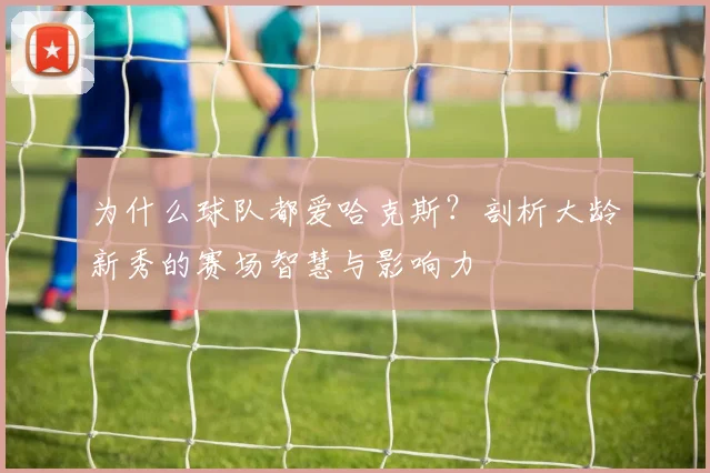 为什么球队都爱哈克斯?剖析大龄新秀的赛场智慧与影响力