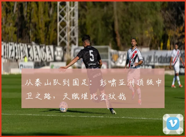 从泰山队到国足:彭啸亚洲顶级中卫之路,天赋堪比金玟哉